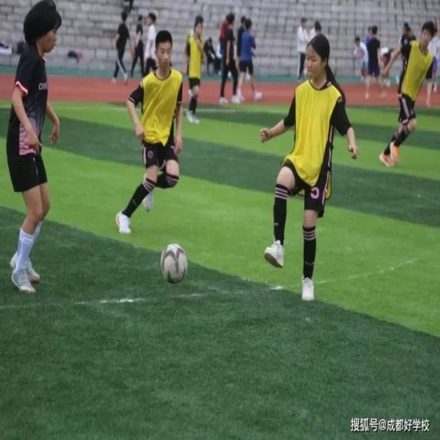 网球红土赛程观察中的独特视角解析