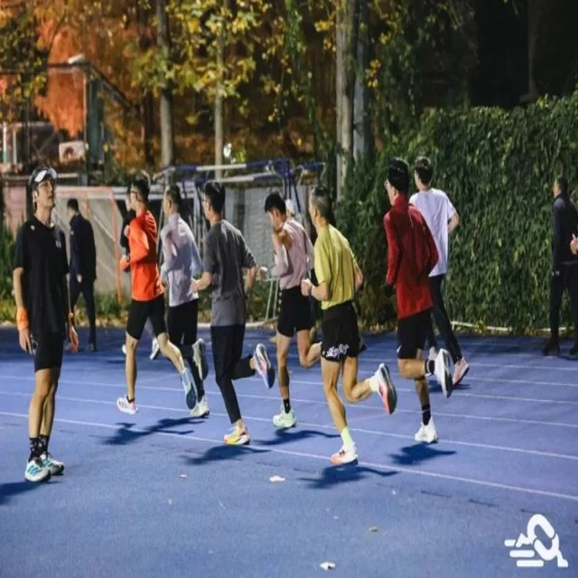 解析关键数据与趋势解读:新闻资讯全景分析